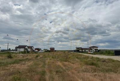 Teren 10.000 mp - Str. Octavian Goga, Craiovei! Teren 10.000 mp - Str. Octavian Goga, Craiovei! - 5