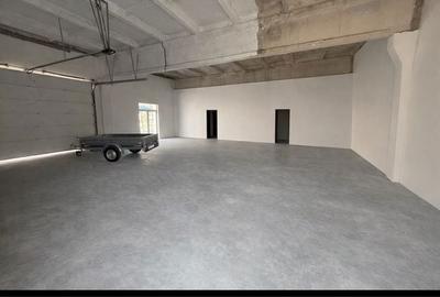 Spațiu comercial, de 350 mp, în Debarcader - 3