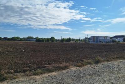Teren de 530 mp, în Ciofliceni