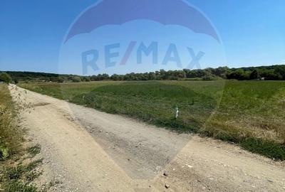 TEREN  INTRAVILAN 5,000mp ORAS CISNADIE  STR.  SELIMBARULUI - 12