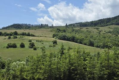 Teren splendid Garcina - 3
