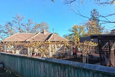 Casa de vanzare Ciorani de Jos - 7