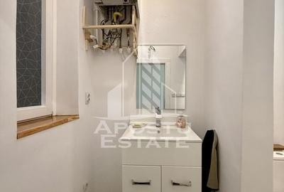 Apartament 3 camere, renovat, vedere la Bega, zona centrala - 12