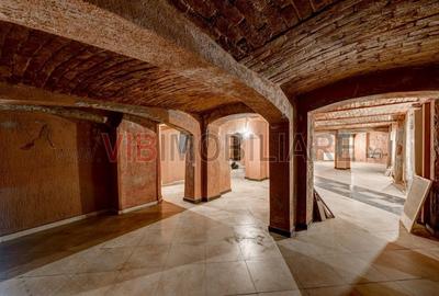 Spatiu comercial - zona Cismigiu - 4