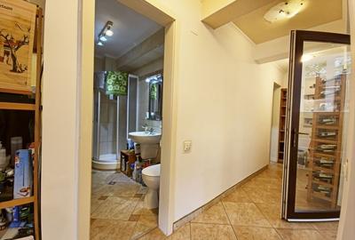 Vila 6 camere, mobilata, utilata, Andrei Muresanu, zona Engels - 30