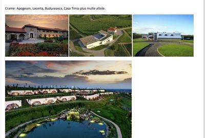 Casă în Tătaru - 6