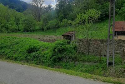 Casa de vanzare la 25 km de Deva - 4