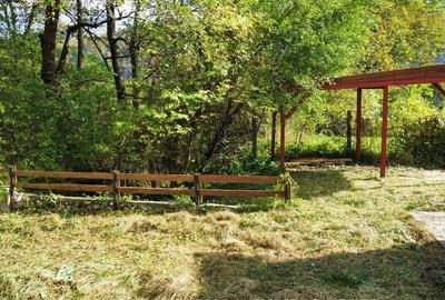 CABANA DE LA MUNTE, UN LOC FERMECATOR - 6