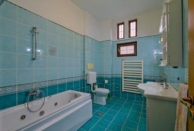 Vila Iancu Nicolae – intre Gradina Zoo si Jolie Ville | Liniste, spatiu si confo - 7