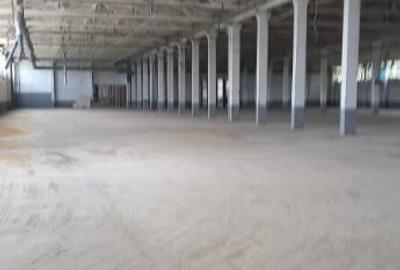 Activ de vanzare la 10 Km de Municipiul Braila ,3 Km de Dunare - 13