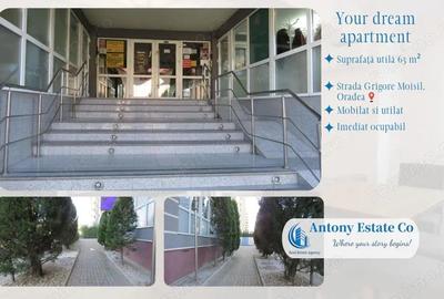 Apartament de inchiriat, 2 camere, Decomandat, Nufaru - Oradea - 9