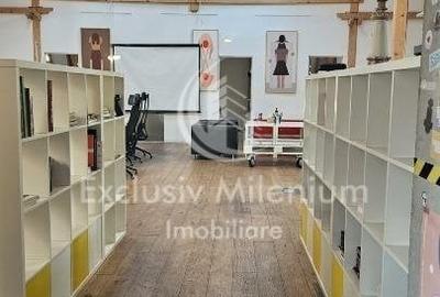 Universitate Birouri  / Piata Rosetti Mansarda Vila - 10