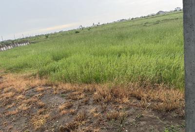 Spațiu comercial, în Bradu - 2