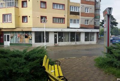 Spațiu comercial, de 101 mp, în Caransebeș