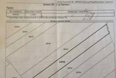 Teren de 1600 mp, în Cara - 4