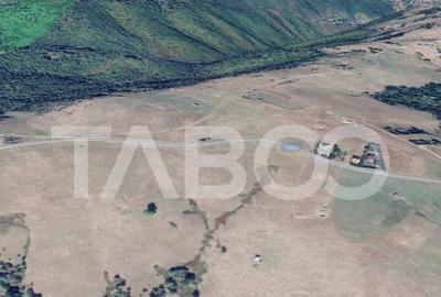 Teren de 3000 mp, în Paltin - 4