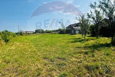 Teren 1,095mp Sighetu Marmatiei / Strada Faget - 3