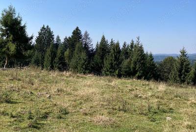 Teren în Călimănel - 2