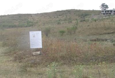 Teren de 600 mp, în Central - 6