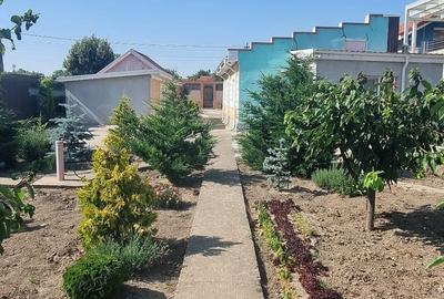 Casă cu 3 camere în Lumina - 5
