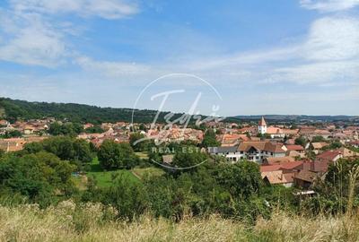 Teren intravilan de vanzare in Saliste - 6