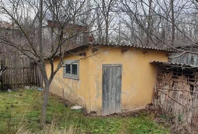 Casă cu 2 camere în Podeni - 4