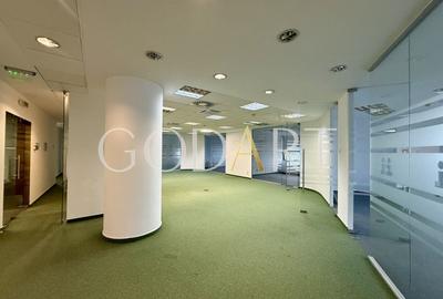 Spațiu de Birouri Premium | Etaj Integral | 455 mp - 18