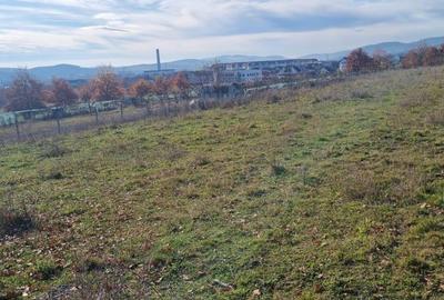 Spațiu comercial, în Petru Rareș - 7