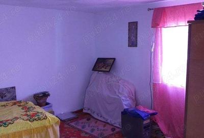 Casa de vanzare la munte in com Starchiojd - 3