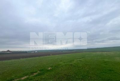 Teren De Vanzare I Moara, Suceava I Preț: 45.000 Euro - 4