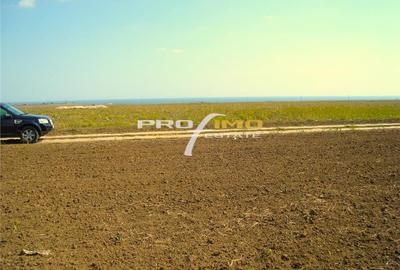 Teren agricol extravilan de 2000 mp, în Corbu