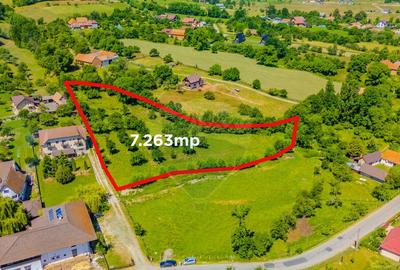 COMISION 0% Teren 7,263mp Sohodol/Valea Sohodolului - 22