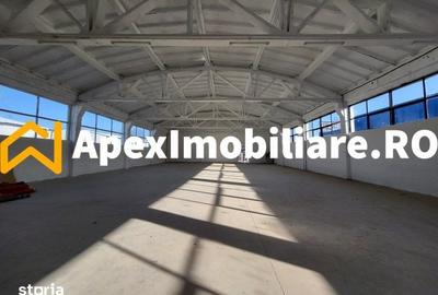 Spațiu comercial, de 1,800 mp, în Xenia - 10