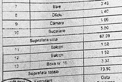 APARTAMENT CU 3 CAMERE DECOMANDAT AFLAT LANGA PIATA AMZEI - RETRAS DE LA STRADA - 19