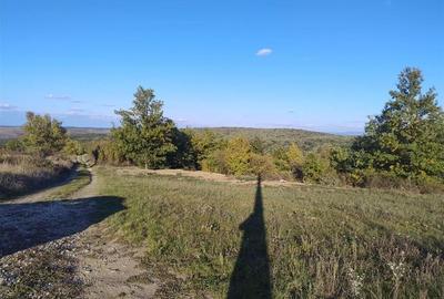 PECO Teren intravilan Saldabagiu De Munte PECO Teren intravilan Saldabagiu De Munte - 5