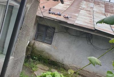 Casa de vanzare la tara - 3