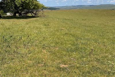 Teren extravilan 54.500 mp, lângă pădure, între Lovnic – Văleni - 6