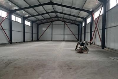 Teren de 133000 mp, în Voluntari - 3