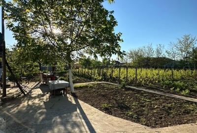 Casă individuală cu 3 camere cu Teren 1167 Mp în Băneasa - 6