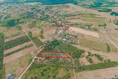 De vanzare Teren 3995mp intravilan Saldabagiu de Munte - 2