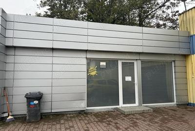 Spa?iu flexibil de inchiriat Sector 4, Dumitru Brumarescu - 2