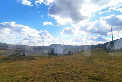 Teren de 44747 mp, în Cojocna - 4