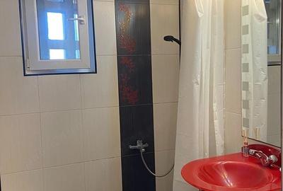 Apartament cu 3 camere semidecomandat în Baba Novac - 3