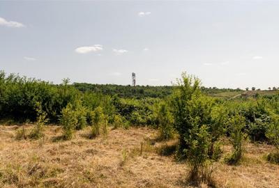 Teren de 1200 mp, în Paleu - 3