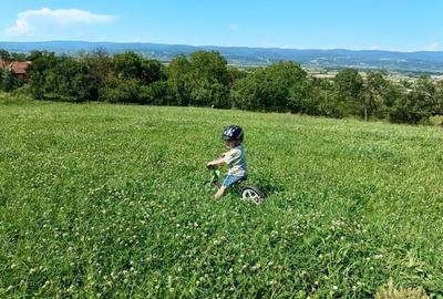 Teren extravilan 9093 mp de vanzare in Josani, com. Magesti - Bihor - 1
