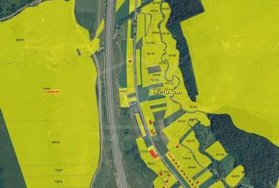 Teren de constructii 3340 mp, front 130 m, spre Savadisla - 4