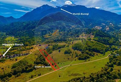 Teren Rasnov -Glajerie, Poiana Velicanului, 1447mp, la st... - 1