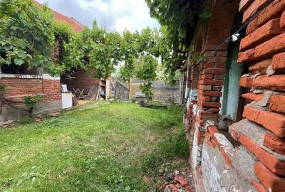 Casă cu Teren 1699 Mp în Honorici - 7