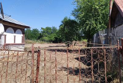 Casa de vanzare la tara - 8