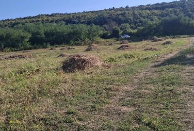 Teren de 5000 mp, în Central - 4